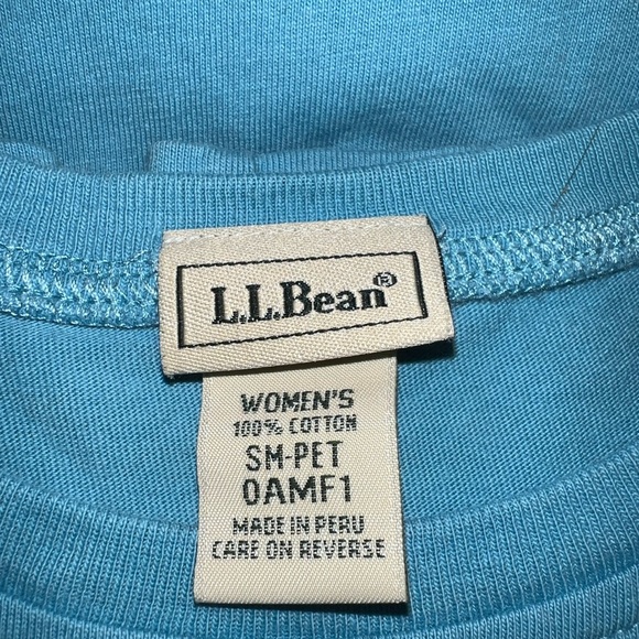 Bundle of Two L.L. Bean Dresses T-shirt style (Blue and Pink) - Picture 9 of 9